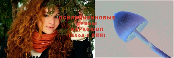 тгк Кинешма
