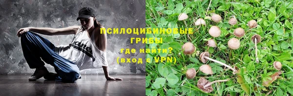 тгк Кинешма