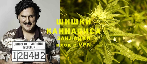 сатива Яровое