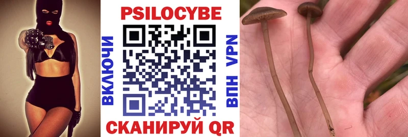 ОМГ ОМГ зеркало  Шлиссельбург  Галлюциногенные грибы мицелий  где можно купить  