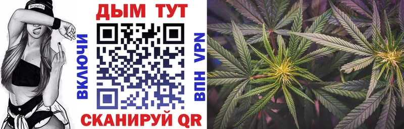 Бошки Шишки план мега как войти Шлиссельбург купить закладку